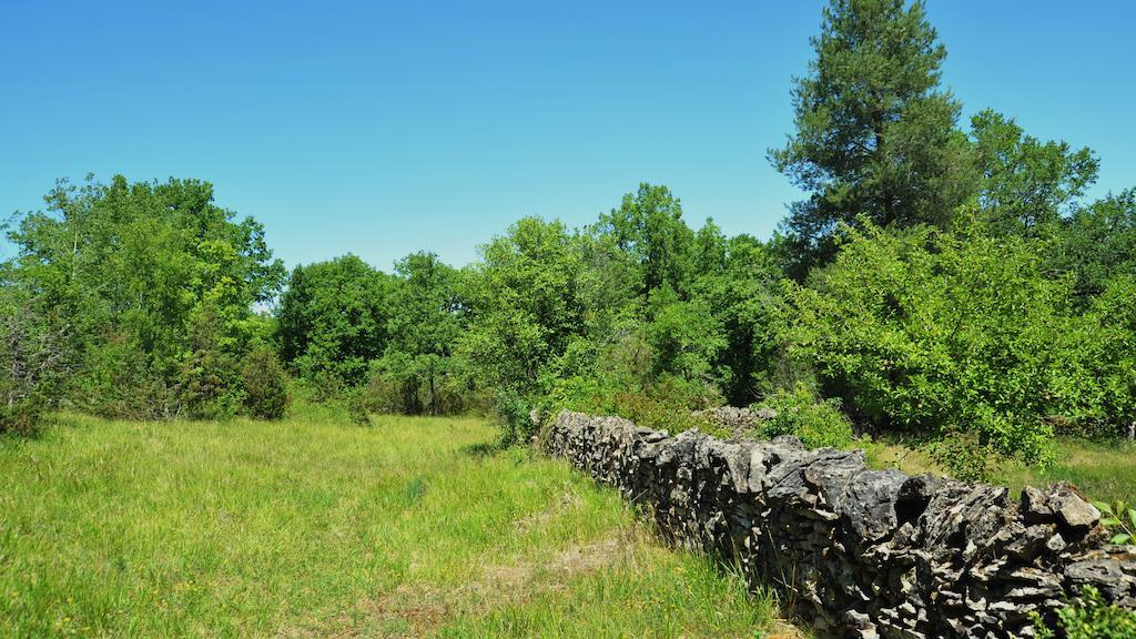 Gites De Combarel Corn Номер фото